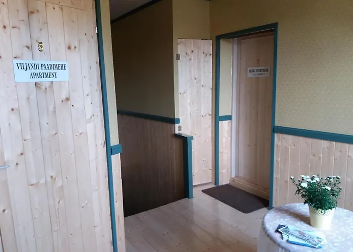 Paadimehe * Viljandi (Viljandimaa)